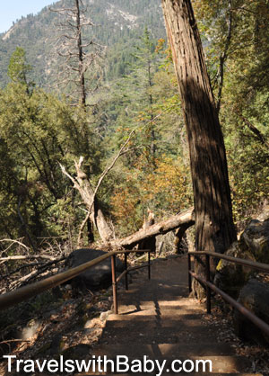 sequoia-crystal-cave-staircase A staircase on the trail down to Crystal Cave in Sequoia National Park