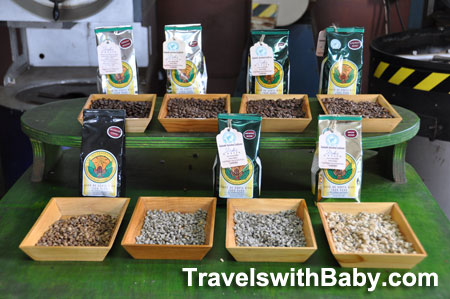 costa-rica-coffee-roasted Roasted Costa Rican coffee beans