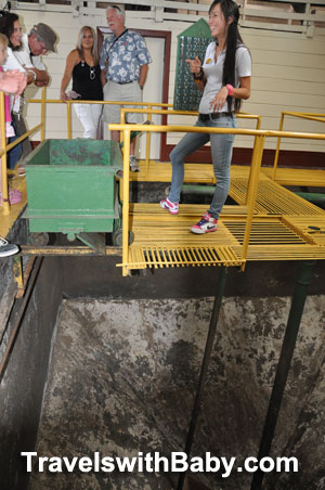 costa-rica-coffee-vat The enormous intake bin for freshly picked coffee "cherries."
