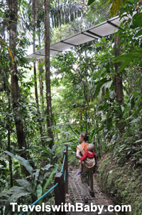On the ground-level trail, with a hanging bridge above.