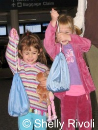 CARES flight harness in stuff sack, weighs only 1 lb.